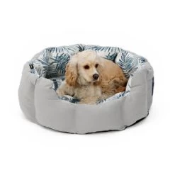 Hondenmand Beach Leaves