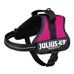Julius K9 Power-harnas Voor Hond / Tuig Voor Voor Labels Fuchsia Minimini/40-53 Cm