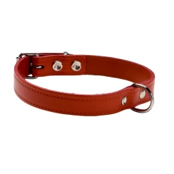 Adori Halsband Leer Met Print Rood - Hondenhalsband - 50x2.0 Cm