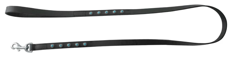 Hondenriem Antique Turquoise - Afbeelding 2