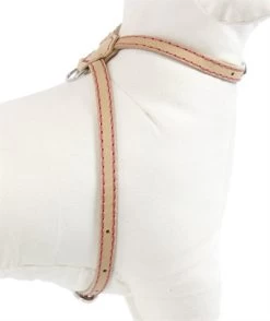 Rosewood Luxury Leather Tuig Voor Hond Puppy