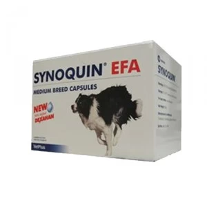 Vetplus Synoquin EFA - Medium Breed 120 Capsules